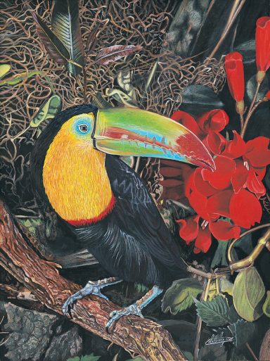 Toucan coloré avec un grand bec, posé près de fleurs rouges dans un environnement tropical.