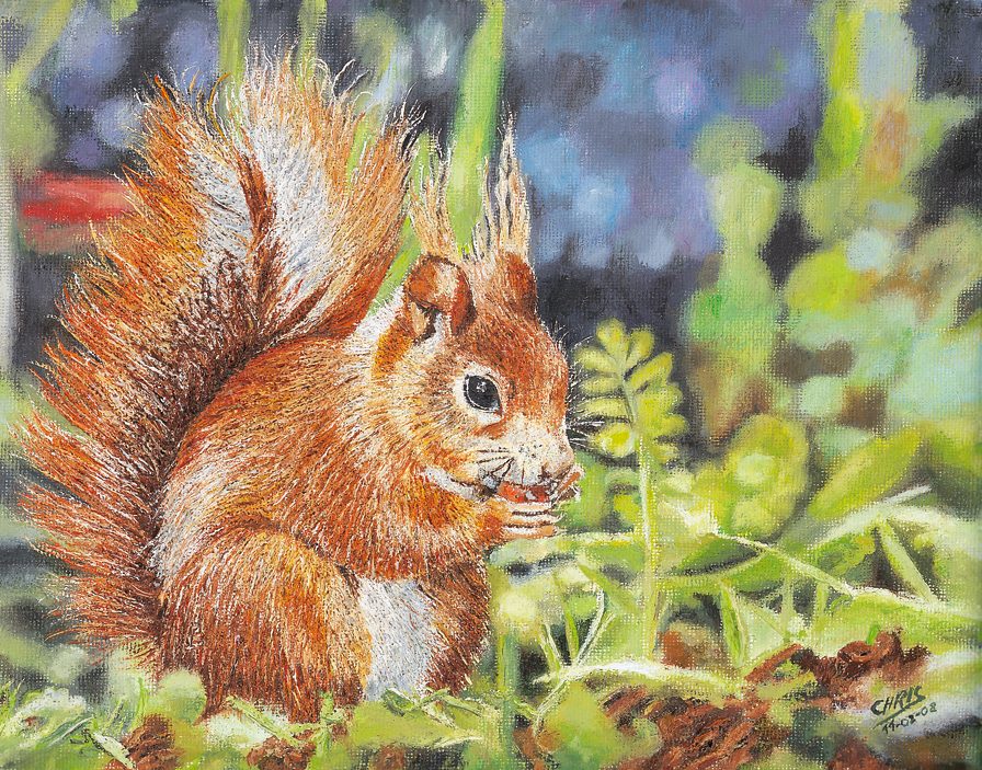 Un chat blanc assis sur un banc en bois, avec un paysage naturel en arrière-plan.