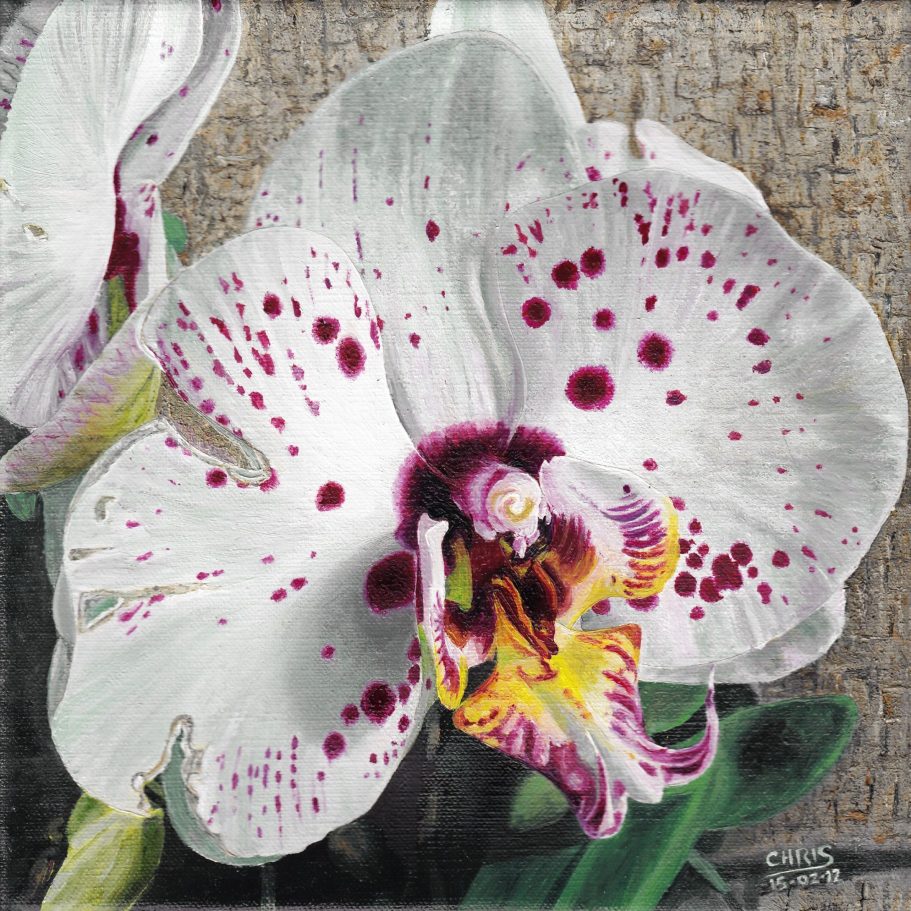 Boutique avec façade décorée de carreaux, femme poussant une poussette sur le trottoir.