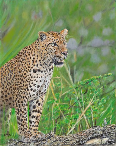 Un léopard aux pelage tacheté , se tenant dans une verdure luxuriante.