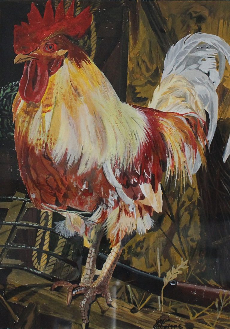 Coq aux plumes blanches et rouilles, perché sur une surface en bois.