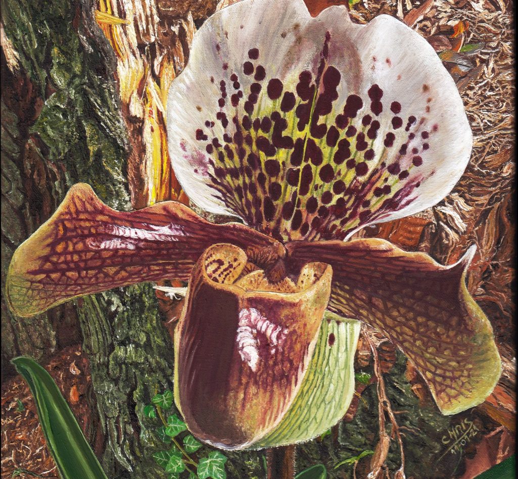 Boutique avec façade décorée de carreaux, femme poussant une poussette sur le trottoir.