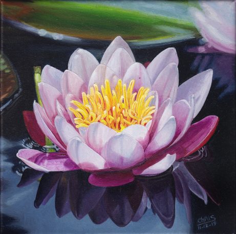Fleur de lotus rose avec des pétales délicats et un cœur doré, flottant sur l'eau.