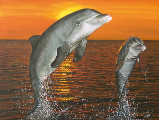 Deux dauphins sautent dans l'eau au coucher du soleil, créant des éclaboussures.