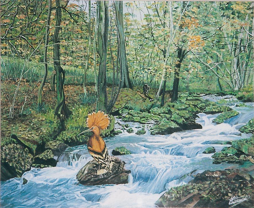 Deux chatons blancs aux yeux bleus jouent près d'un violon sur une table avec des partitions.