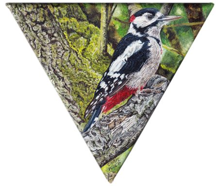 Un pic épeiche perché sur une branche, avec un plumage noir, blanc et rouge.