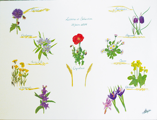 Illustration de diverses fleurs colorées sur fond blanc avec des annotations.