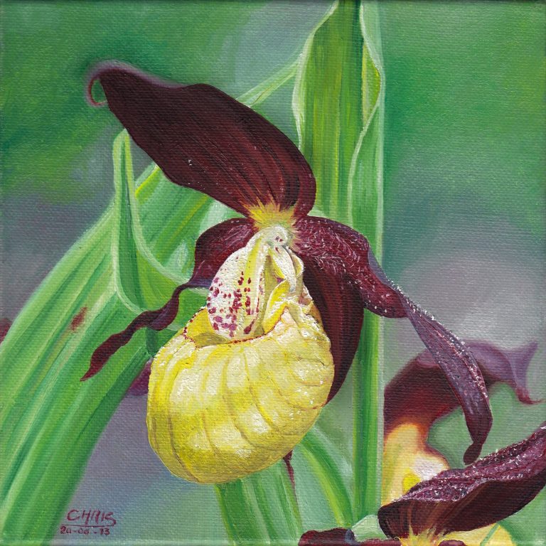 Boutique avec façade décorée de carreaux, femme poussant une poussette sur le trottoir.