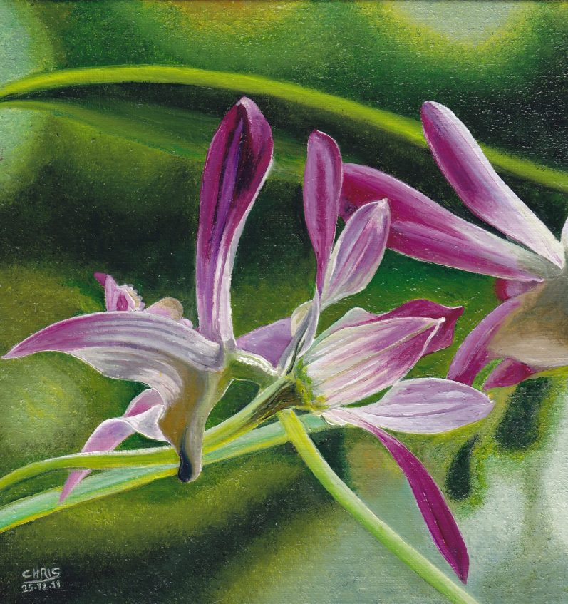 Boutique avec façade décorée de carreaux, femme poussant une poussette sur le trottoir.