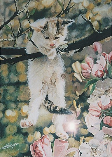 Un chaton suspendu à une branche, entouré de fleurs de magnolia.