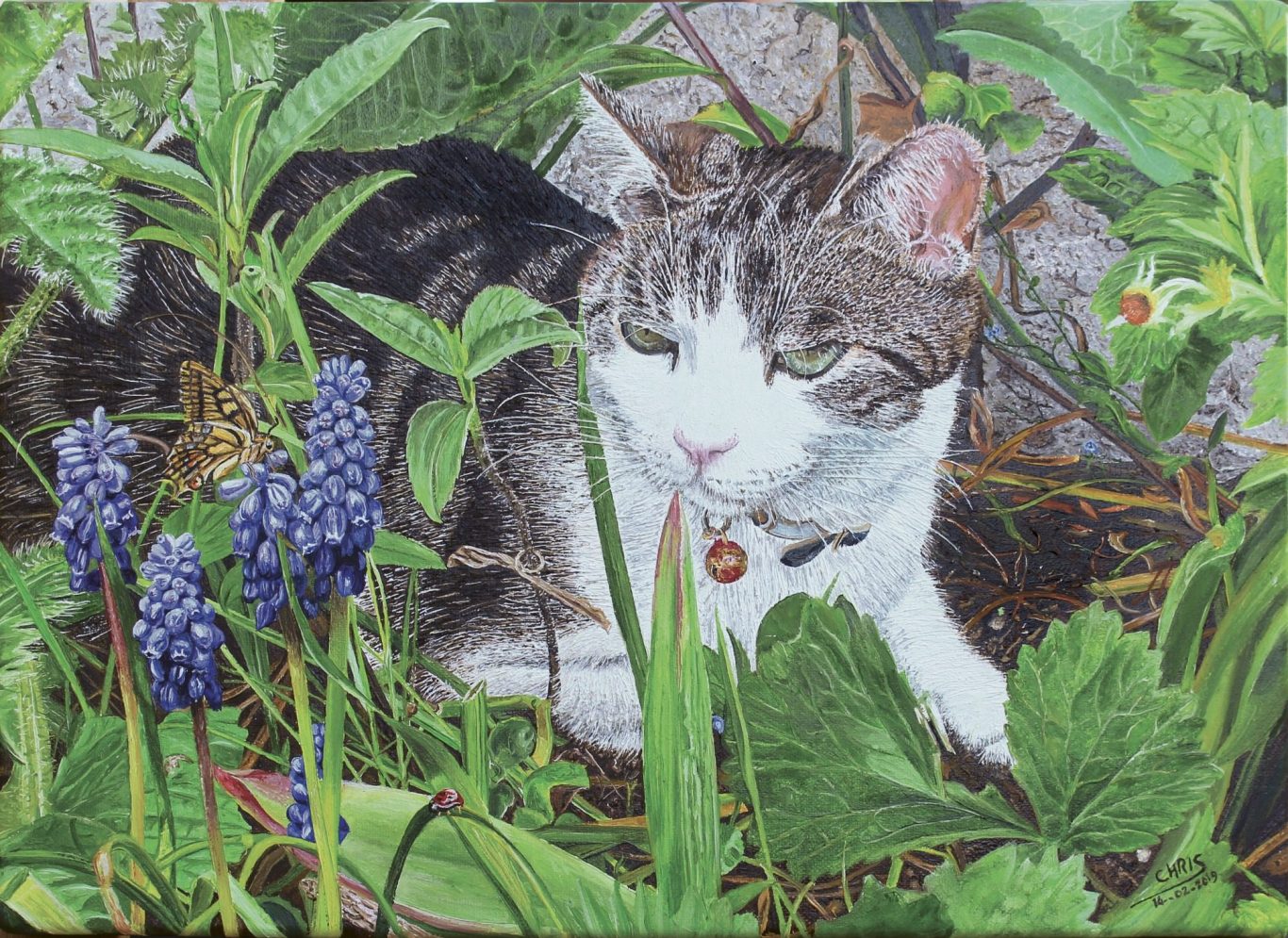 Un chat blanc assis sur un banc en bois, avec un paysage naturel en arrière-plan.