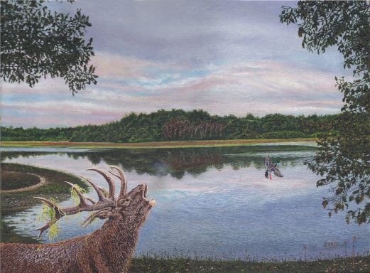 Ruminant dans un paysage naturel avec un lac et un ciel nuageux en arrière-plan.