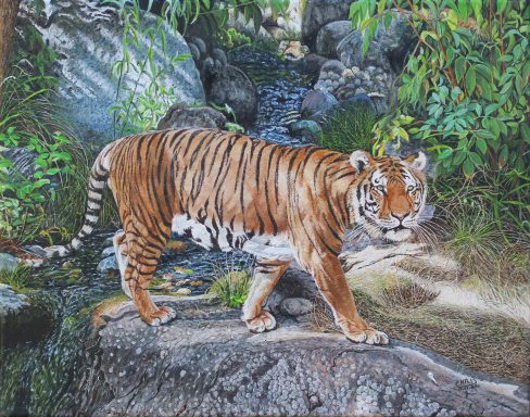 Tigre marchant près d'un ruisseau, entouré de végétation luxuriante.