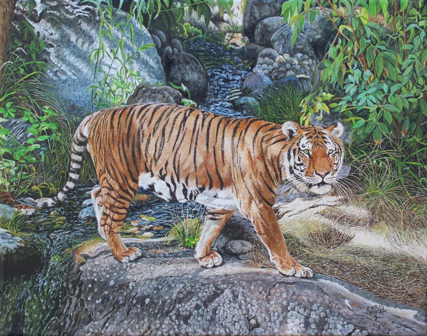 Un chat blanc assis sur un banc en bois, avec un paysage naturel en arrière-plan.