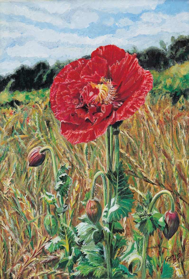 Fleurs roses avec des taches sombres et des étamines, sur fond flou.