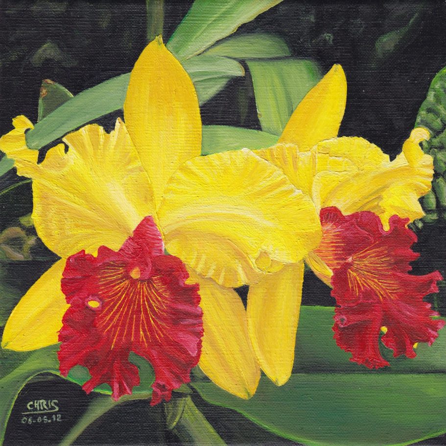 Boutique avec façade décorée de carreaux, femme poussant une poussette sur le trottoir.