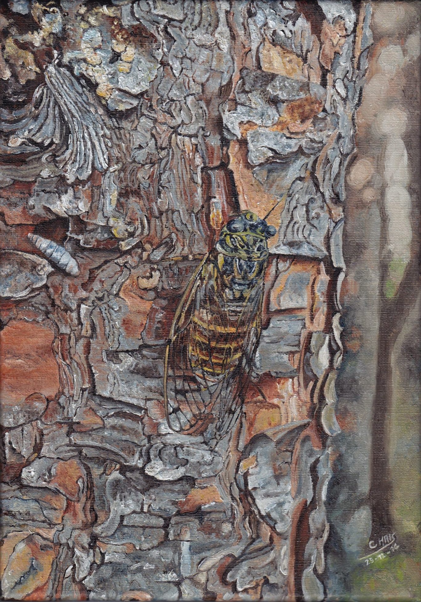 Un chat blanc assis sur un banc en bois, avec un paysage naturel en arrière-plan.